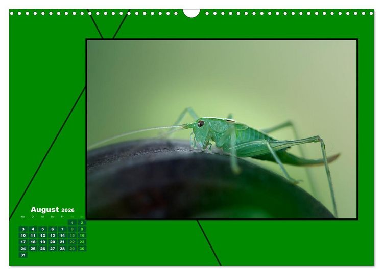 Produktbild: Heilende Farbe Gr&uuml;n (Wandkalender 2026 DIN A3 quer), CALVENDO Monatskalender