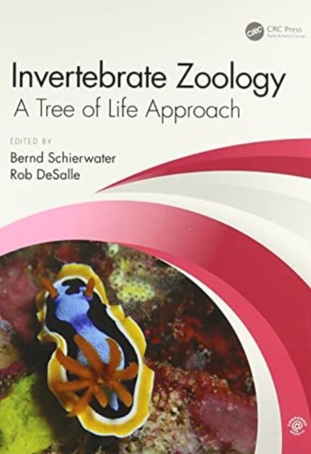 Produktbild: Schierwater, B: Invertebrate Zoology