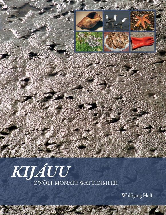 Produktbild: Kij&aacute;uu
