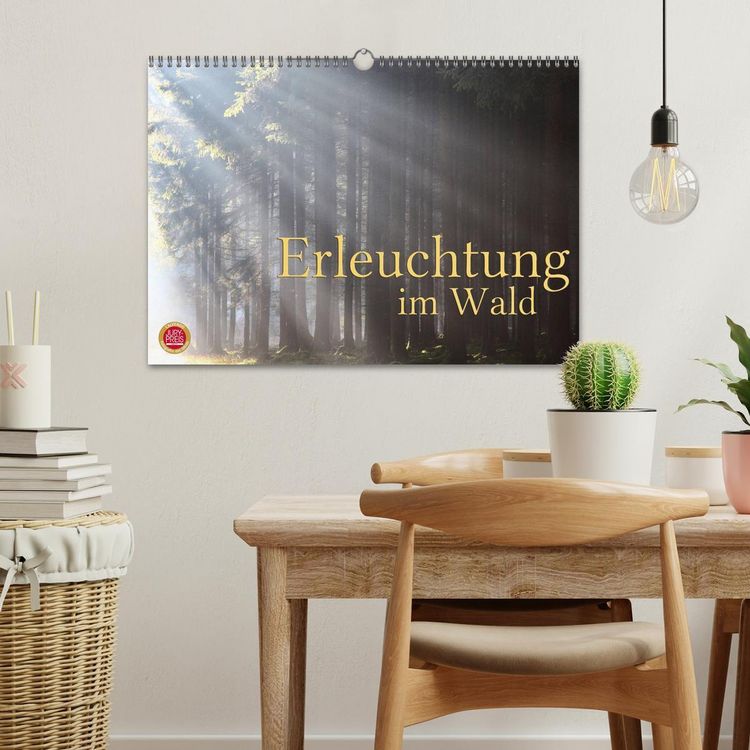 Produktbild: Erleuchtung im Wald (Wandkalender 2026 DIN A3 quer), CALVENDO Monatskalender
