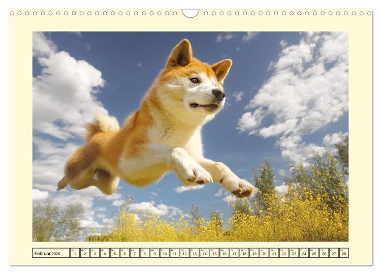 Produktbild: Akita Inu in der Natur. Japans edle und sanfte Sch&ouml;nheit (Wandkalender 2026 DIN A3 quer), CALVENDO Monatskalender