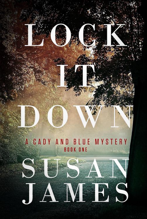 Produktbild: Lock It Down (Cady and Blue Mystery, #1)