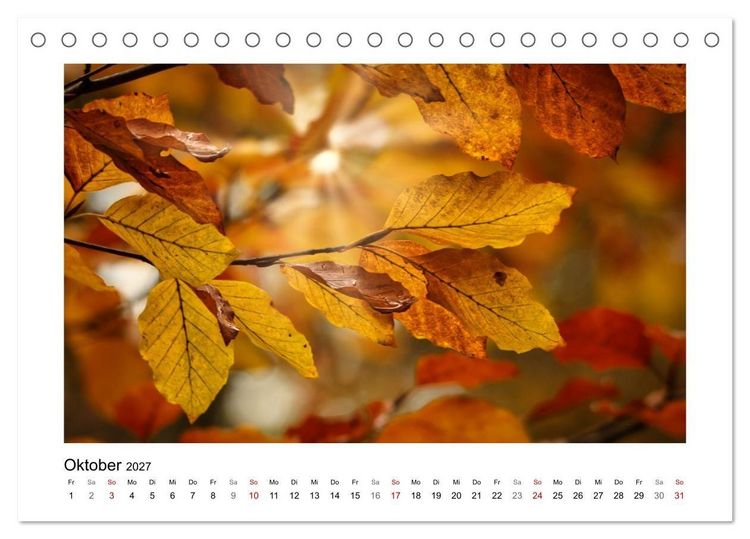 Produktbild: Naturkunstwerke (Tischkalender 2027 DIN A5 quer), CALVENDO Monatskalender