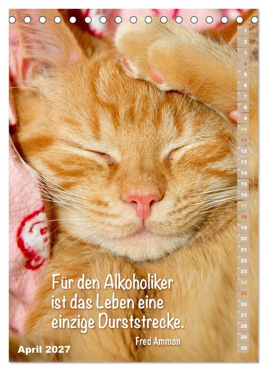 Produktbild: Der literarische Katerkalender (Tischkalender 2027 DIN A5 hoch), CALVENDO Monatskalender