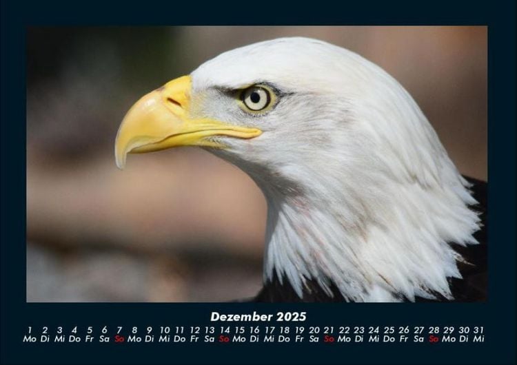 Produktbild: Adler 2025 Fotokalender DIN A4