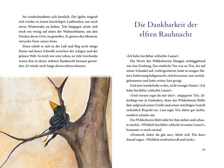 Produktbild: Die magische Reise des Rauhn&auml;chte-Raben Trix