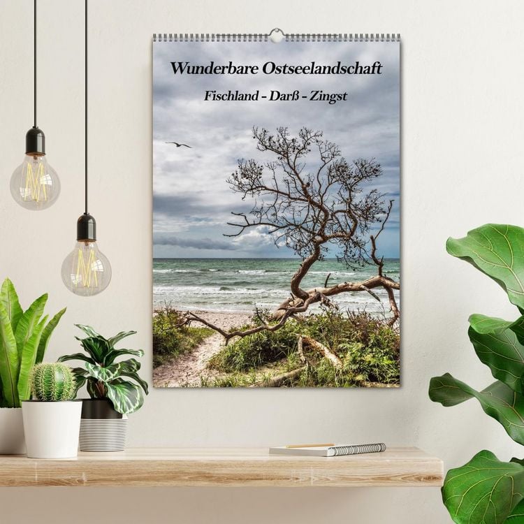 Produktbild: Wunderbare Ostseelandschaft Fischland-Dar&szlig;-Zingst (Wandkalender 2026 DIN A2 hoch), CALVENDO Monatskalender