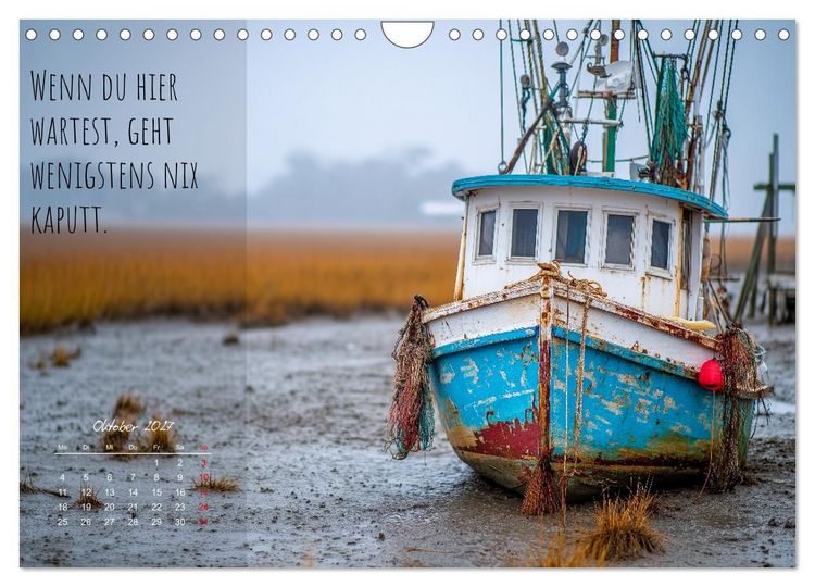 Produktbild: Moin Moin ist schon gesabbel - Norddeutscher Spr&uuml;che-Kalender (Wandkalender 2027 DIN A4 quer), CALVENDO Monatskalender