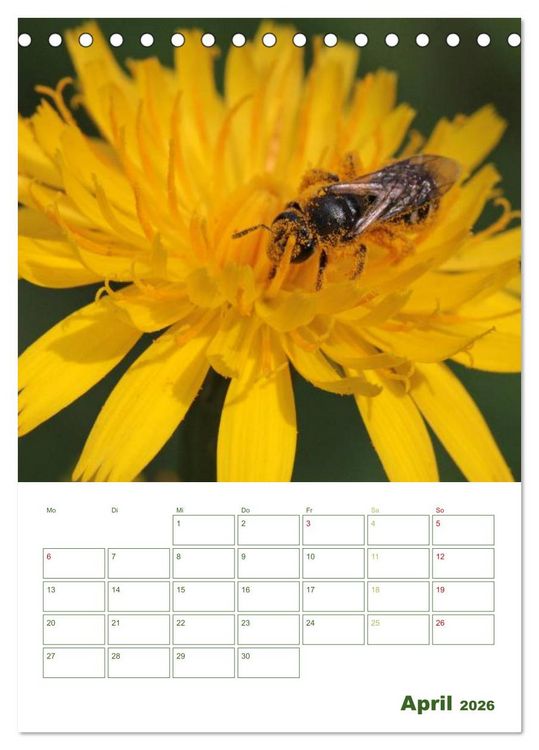 Produktbild: Bienen-Terminplaner 2026 (Tischkalender 2026 DIN A5 hoch), CALVENDO Monatskalender