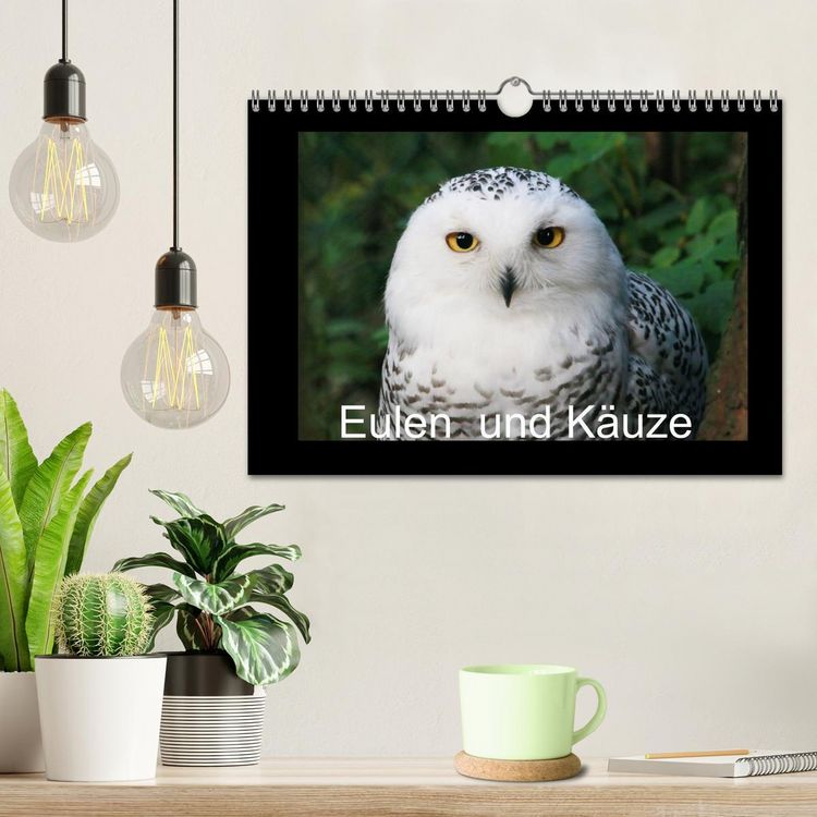 Produktbild: Eulen und K&auml;uze (Wandkalender 2026 DIN A4 quer), CALVENDO Monatskalender
