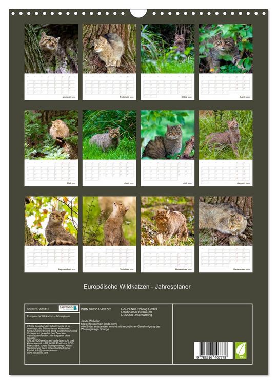 Produktbild: Europ&auml;ische Wildkatzen - Jahresplaner (Wandkalender 2026 DIN A3 hoch), CALVENDO Monatskalender