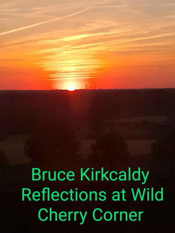 Produktbild: Contemplations at Wild Cherry Corner