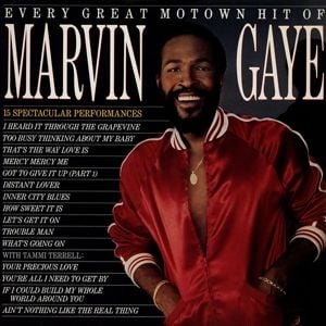 Produktbild: Every Great Motown Hit Of Marvin Gaye (Vinyl)