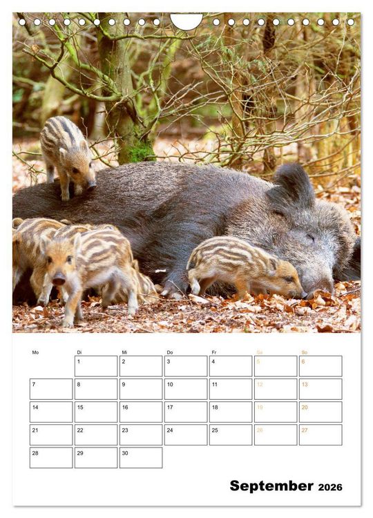 Produktbild: Wilde Tiere: Zuhause in Wald und Flur (Wandkalender 2026 DIN A4 hoch), CALVENDO Monatskalender