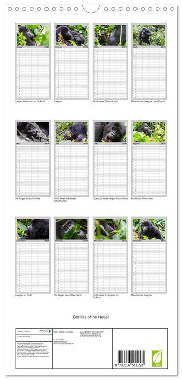 Produktbild: Familienplaner 2026 - Gorillas ohne Nebel mit 5 Spalten (Wandkalender, 21 x 45 cm) CALVENDO