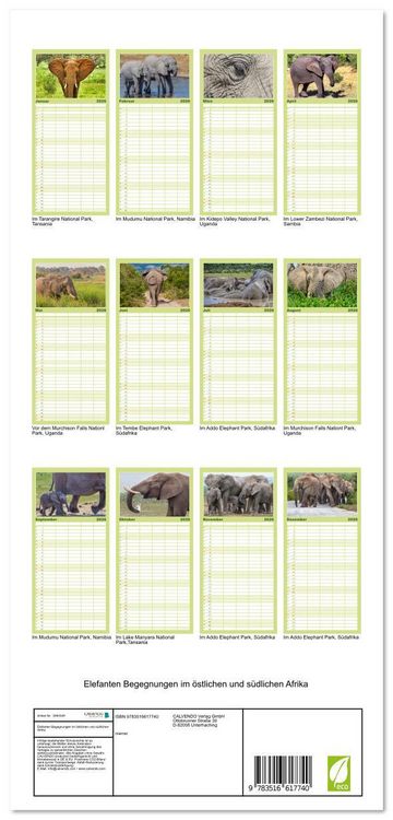 Produktbild: Familienplaner 2026 - Elefanten Begegnungen im &ouml;stlichen und s&uuml;dlichen Afrika mit 5 Spalten (Wandkalender, 21 x 45 cm) CALVENDO