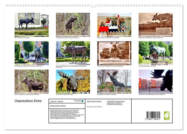 Produktbild: Ostpreu&szlig;ens Elche (hochwertiger Premium Wandkalender 2026 DIN A2 quer), Kunstdruck in Hochglanz