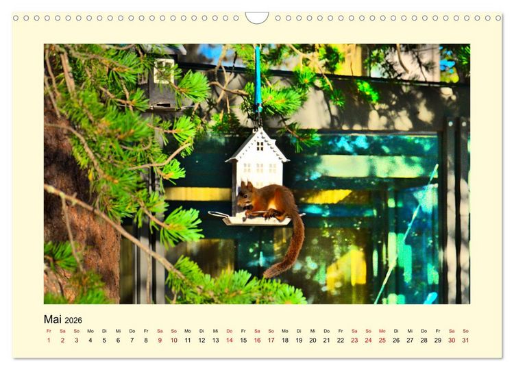 Produktbild: Wild, aber knuffig! (Wandkalender 2026 DIN A3 quer), CALVENDO Monatskalender