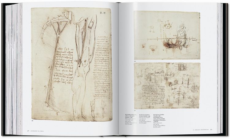Produktbild: Leonardo