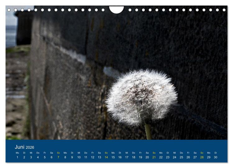 Produktbild: Die Nordmole in Wilhelmshaven. Historisches Relikt und Lieblingsort. (Wandkalender 2026 DIN A4 quer), CALVENDO Monatskalender