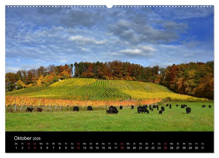Produktbild: Baden-W&uuml;rttemberg Impressionen (Wandkalender 2026 DIN A2 quer), CALVENDO Monatskalender