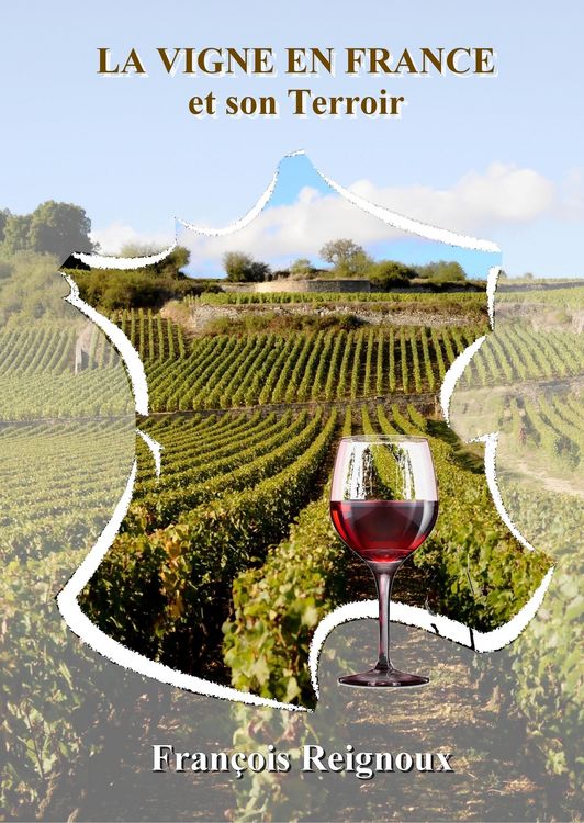 Produktbild: La Vigne en France et son Terroir