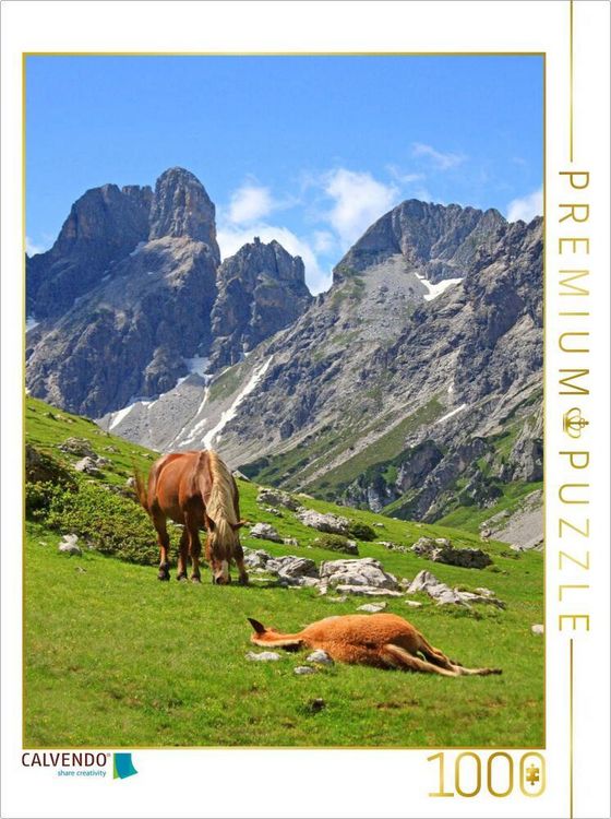 Produktbild: CALVENDO Puzzle Haflinger im oberen Rinderfeld | 1000 Teile Lege-Gr&ouml;&szlig;e 64x48cm Foto-Puzzle f&uuml;r gl&uuml;ckliche Stunden