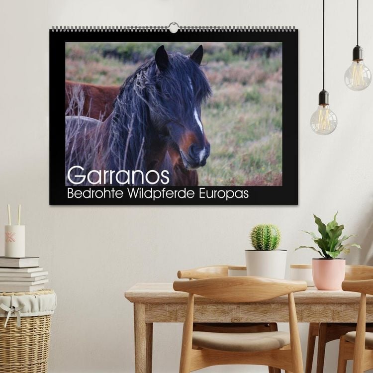 Produktbild: Garranos - Bedrohte Wildpferde Europas (Wandkalender 2026 DIN A2 quer), CALVENDO Monatskalender