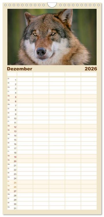 Produktbild: Familienplaner 2026 - W&ouml;lfe - sie sind wieder da mit 5 Spalten (Wandkalender, 21 x 45 cm) CALVENDO