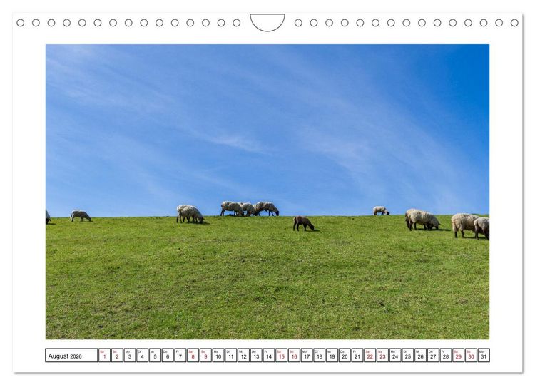 Produktbild: Verliebt in Norddeich (Wandkalender 2026 DIN A4 quer), CALVENDO Monatskalender
