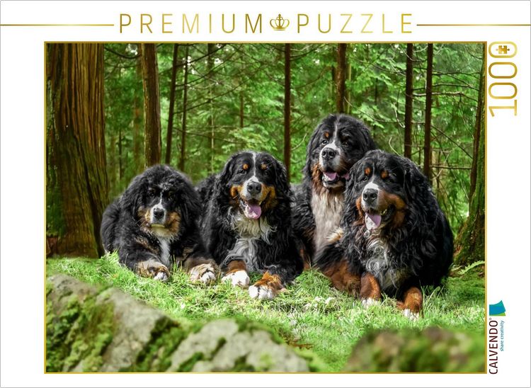Produktbild: CALVENDO Puzzle Vier Berner R&uuml;den auf Abenteuer | 1000 Teile Lege-Gr&ouml;&szlig;e 64x48cm Foto-Puzzle f&uuml;r gl&uuml;ckliche Stunden