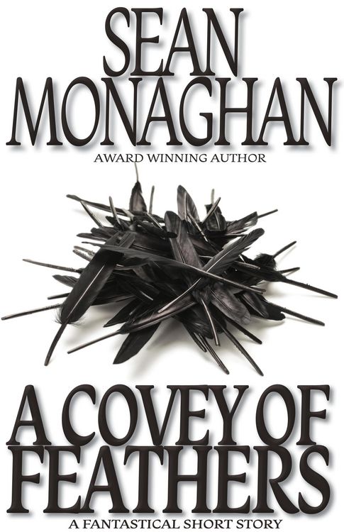 Produktbild: A Covey of Feathers
