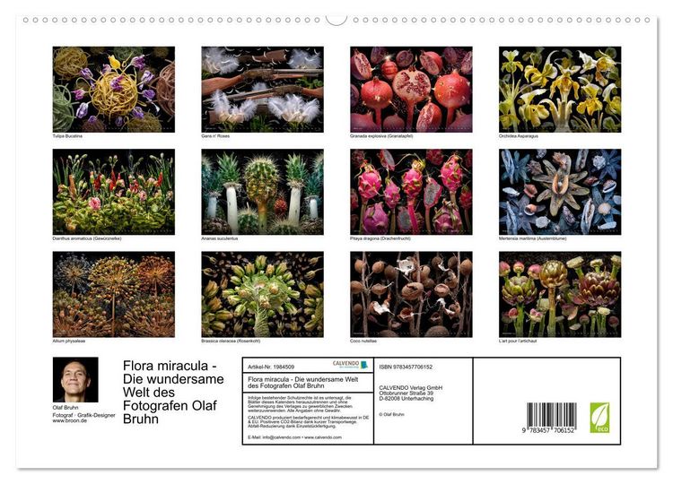 Produktbild: Flora miracula - Die wundersame Welt des Fotografen Olaf Bruhn (hochwertiger Premium Wandkalender 2026 DIN A2 quer), Kunstdruck in Hochglanz