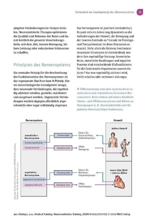 Produktbild: Medical Training: Neurozentriertes Training
