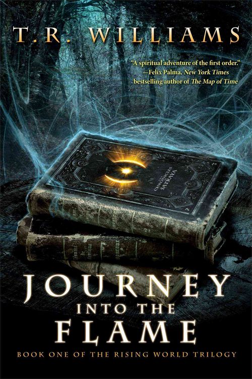 Produktbild: Journey Into the Flame