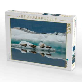 Produktbild: CALVENDO Puzzle Seehunde im J&ouml;kulsarlon | 1000 Teile Lege-Gr&ouml;&szlig;e 64x48cm Foto-Puzzle f&uuml;r gl&uuml;ckliche Stunden