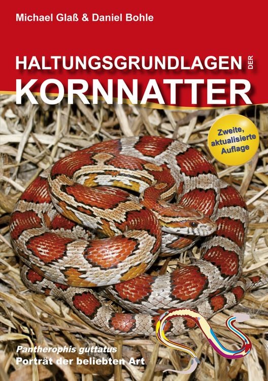 Produktbild: Haltungsgrundlagen der Kornnatter
