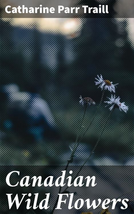 Produktbild: Canadian Wild Flowers