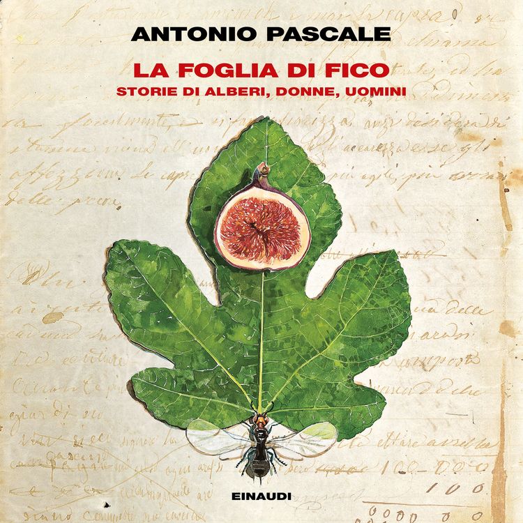 Produktbild: La foglia di fico
