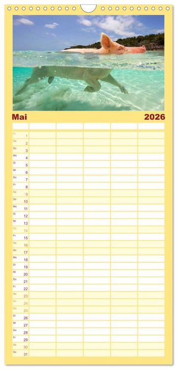 Produktbild: Familienplaner 2026 - Schweine im Dauerurlaub auf den Bahamas! mit 5 Spalten (Wandkalender, 21 x 45 cm) CALVENDO