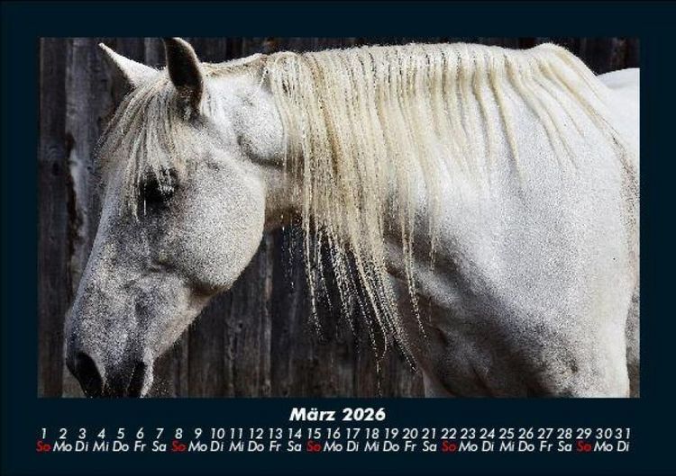 Produktbild: Die Welt der Pferde 2026 Fotokalender DIN A5