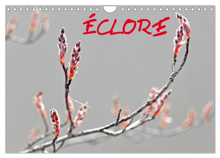 Produktbild: &Eacute;CLORE (Calendrier mural 2026 DIN A4 vertical), CALVENDO calendrier mensuel