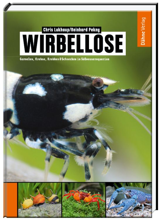 Produktbild: Wirbellose