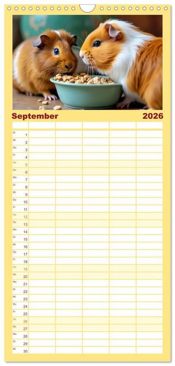 Produktbild: Familienplaner 2026 - S&uuml;&szlig;e Meerschweinchen mit 5 Spalten (Wandkalender, 21 x 45 cm) CALVENDO