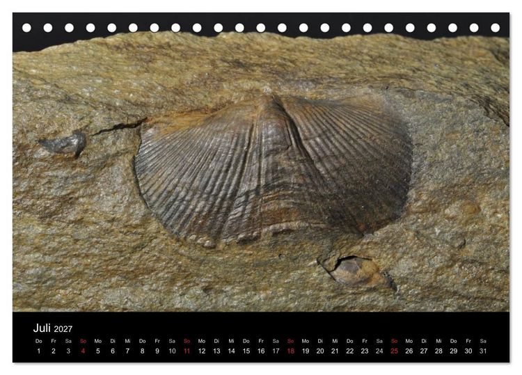Produktbild: Fossilien - Zeugen der Urzeit (Tischkalender 2027 DIN A5 quer), CALVENDO Monatskalender