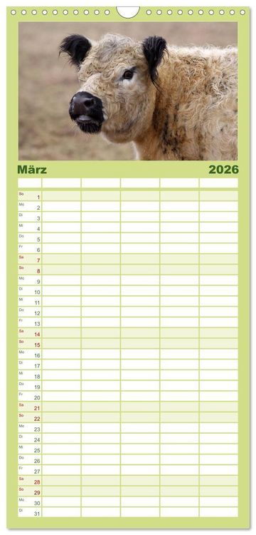 Produktbild: Familienplaner 2026 - Muuuhhh! mit 5 Spalten (Wandkalender, 21 x 45 cm) CALVENDO