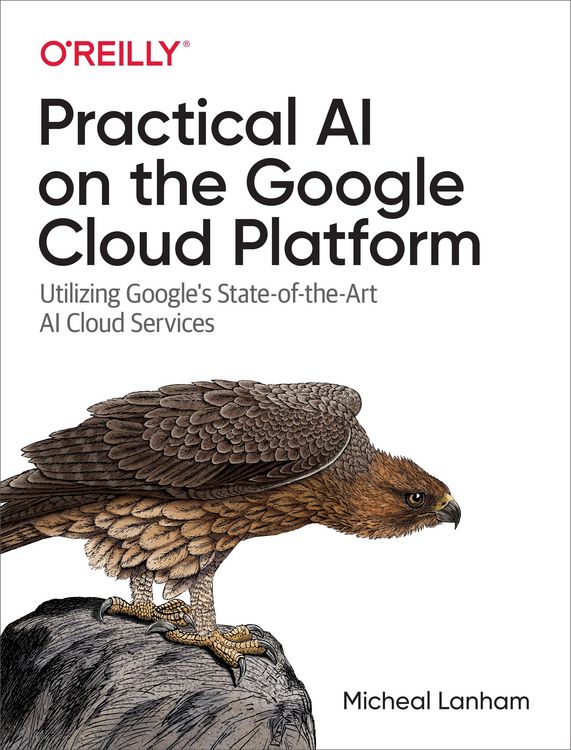 Produktbild: Practical AI on the Google Cloud Platform
