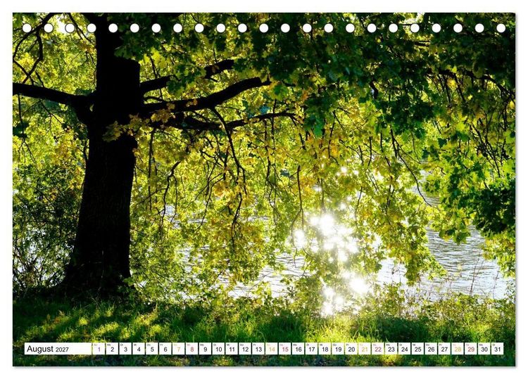 Produktbild: 12 Monate Natur (Tischkalender 2027 DIN A5 quer), CALVENDO Monatskalender