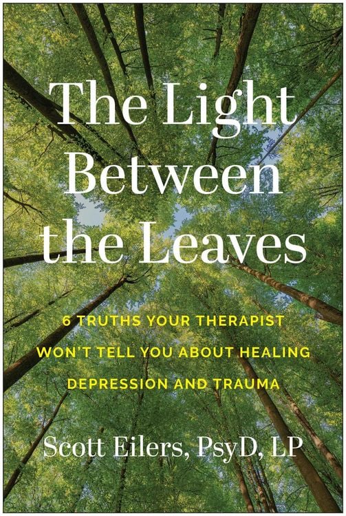 Produktbild: The Light Between the Leaves