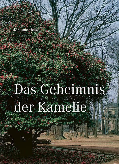 Produktbild: Das Geheimnis der Kamelie